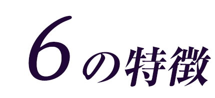 シラン 6の特徴